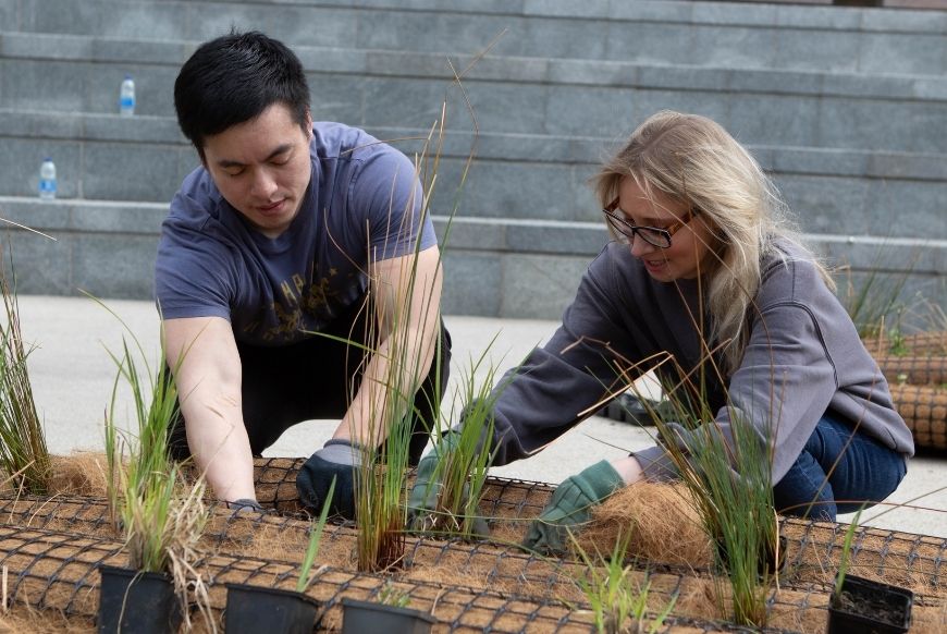Reed planters
